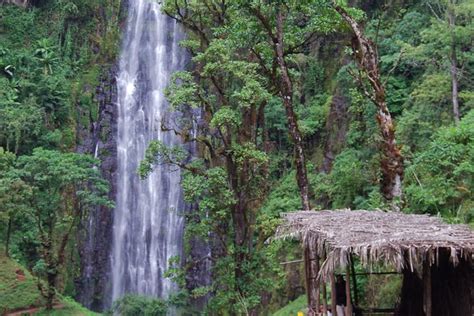 Materuni waterfalls in Tanzania | Waterfalls in Tanzania | Kilimanjaro