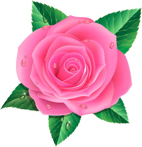 Flores Rosa Desenho Png Fdplearn