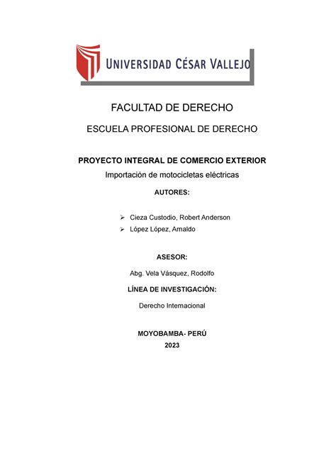 Avance De Proyecto De Importacion Facultad De Derecho Escuela Profesional De Derecho Proyecto