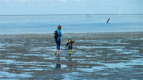 Pantai Ibu Dan Anak Berjalan Di Foto Gratis Di Pixabay Pixabay