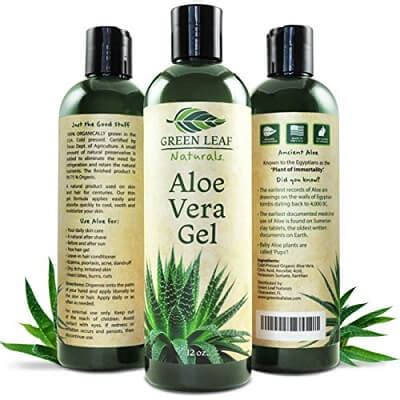 Best Aloe Vera Gels And Creams Reviewed In 2021 RunnerClick