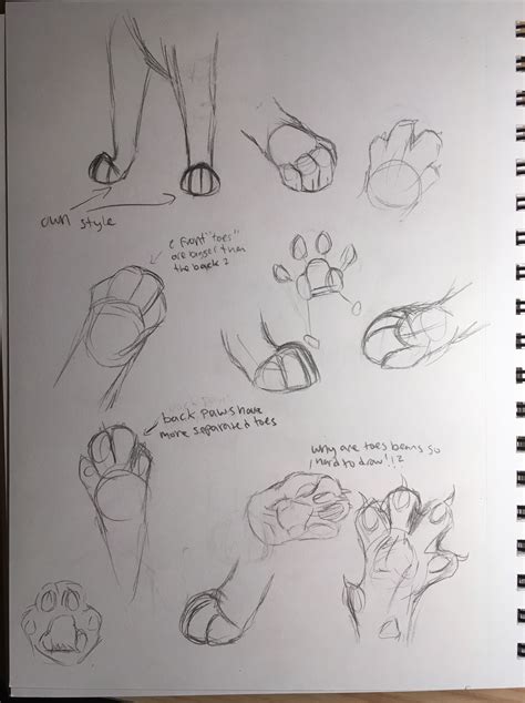 How Do You Draw A Cat Paw - Draw easy