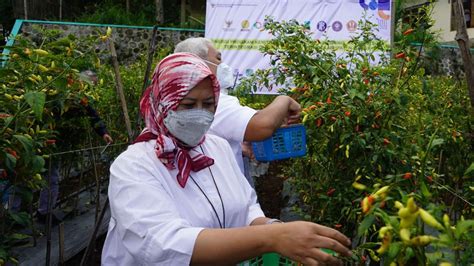 Anak Buah Airlangga Sebut Kemitraan Agribisnis Closed Loop Tingkatkan