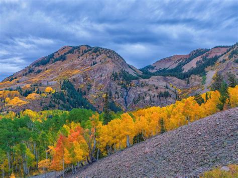 [100+] Colorado Mountains Wallpapers | Wallpapers.com