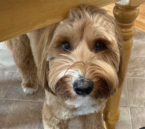 Taylor at Taylor Funeral Home - Home