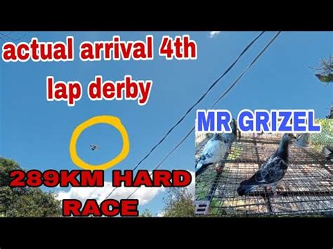 Sinait Ilocos Th Lap Derby Ngkaubusan Na Karera Ng Kalapati Youtube