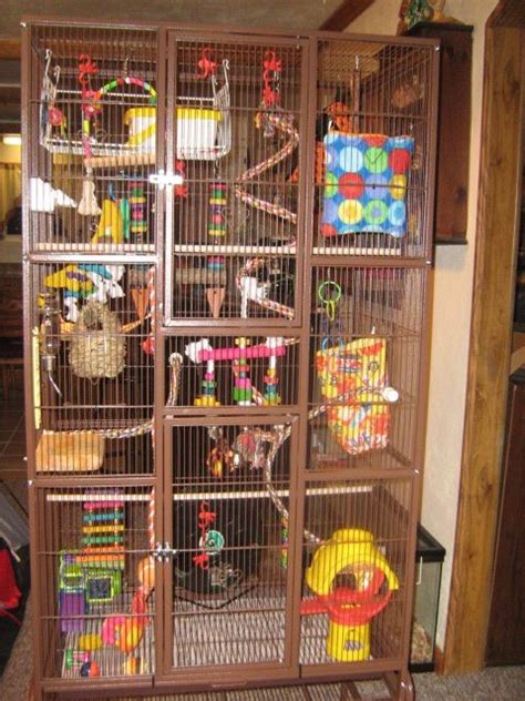 Glidergossip Show Your Cages Sugar Glider Cage Sugar Glider