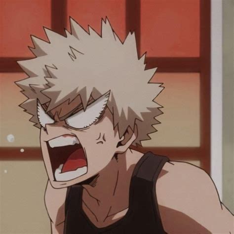 Bakugou And Deku Matching Pfp Pfp Bakugo Mha Todoroki Bakugou Cloud