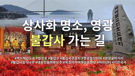 서기 384년 전남 영광 법성포에 찾아온 인도 승려 마라난타 영광 불갑사 가는 길 100대 명산 불갑산 정용식의 사찰