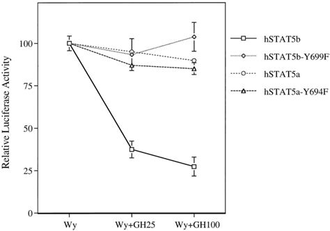 Cross Talk Between Janus Kinase Signal Transducer And Activator Of