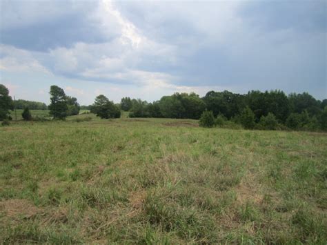 40 Acres Of Pasture Land Farm For Sale In Alabama 113257 FARMFLIP