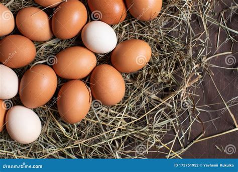 Household Chicken Eggs In A Nest Of Hay Stock Photo Image Of Brown