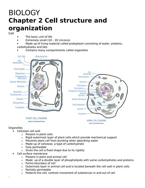 SOLUTION: Biology cell structure and organization - Studypool