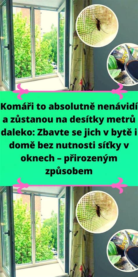 Komáři to absolutně nenávidí a zůstanou na desítky metrů daleko Zbavte