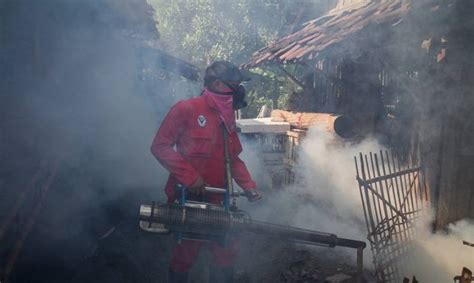 Meningkat Tajam Kasus DBD Di Kab Bandung Inilahkoran Id