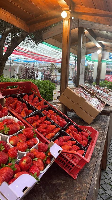 Festa Della Fragola A Parete Nella Villa Comunale Con Gigi E Ross E Gli