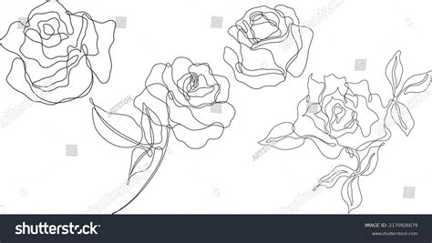 Rose Flower Outline Vector Set Hand Stock Vector (Royalty Free) 2170926679 | Shutterstock