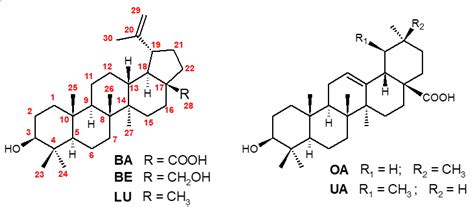 Structures Of Betulinic Acid Ba Betulin Be Lupeol Lu Oleanolic