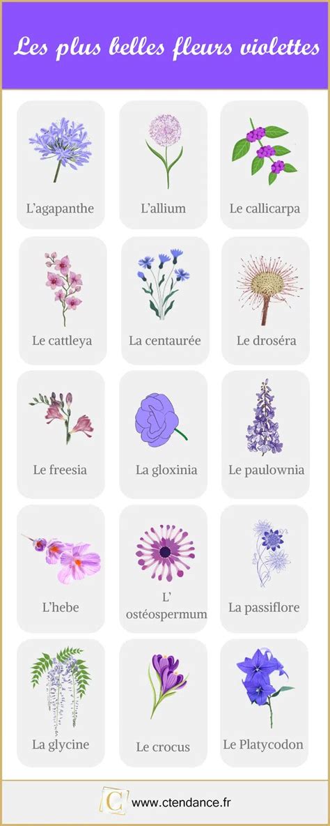 Fleur Violette La Liste Des 30 Plus Belles Fleurs Violettes Fleurs