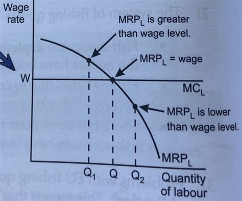 Labour Market Flashcards Quizlet