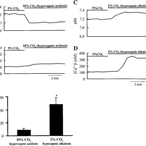 Examples Of Intracellular Ph Phi And Intracellular Ca 2 Concentration