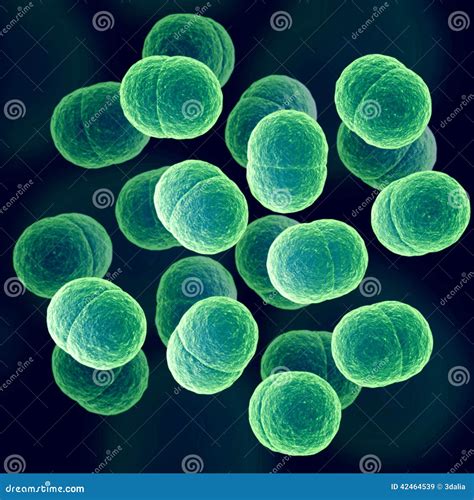 List 91 Pictures What Does Germs Look Like Under A Microscope Full Hd 2k 4k