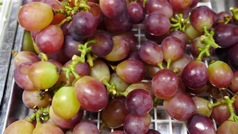 15 Types Of Grapes That You Can Taste In Japan Tony Travels