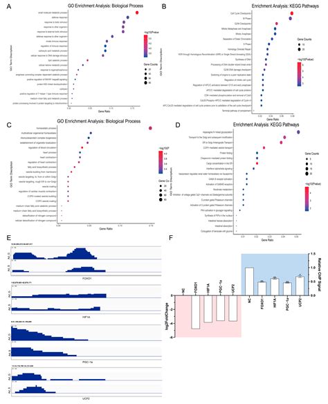 IJMS Free Full Text Epigenomics Analysis Of The Suppression Role Of