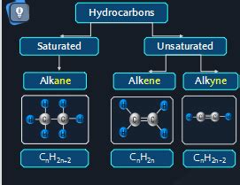 What are Hydrocarbons? Compare saturated and unsaturated hydrocarbons?