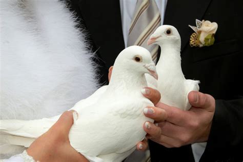 Wedding Doves Bells