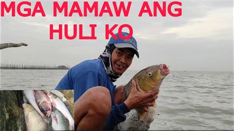 Mga Mamaw Ang Nahuli Ko Sa Laot Ng Laguna Lake Gamit Ang Pante O Lambat