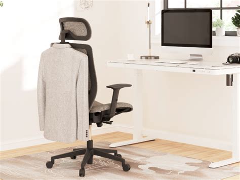 Mua FLEXISPOT Ergonomic Office Chair High Back Mesh Swivel Computer