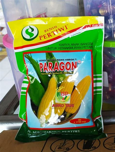 Benih Jagung Manis Talenta Gram Paragon Gram Sweetop