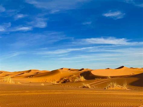 Ab Merzouga Kamelritt Mit Bernachtung Im Erg Chebbi Getyourguide