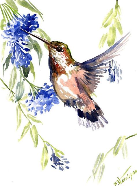 Hummingbird Original Watercolor Painting X In Flying Hummingbird