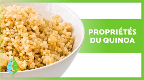 Bienfaits Du Quinoa Pour La Santé PropriÉtÉs À Quoi ça Sert Et