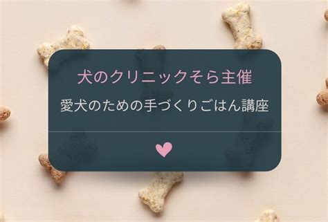 愛犬のための手づくりごはん講座 犬のクリニックそら・kokoroづくしサロン