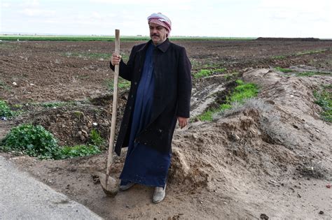 Oil Spills Pile On Pressure For Iraq S Farmers