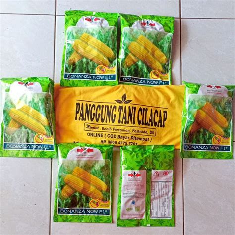 Jual Benih Jagung Bonanza Now F1 1800 Btr Harga Eksklusif Exp 06 2023