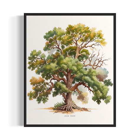 Oak Tree Art Print, Oak Tree Wall Art Poster - Etsy