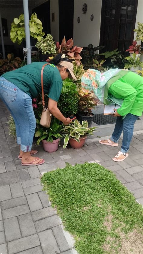 Pemantauan Jentik Jentik Nyamuk Di Wilayah RT 02 RW 43 Padukuhan Kayen