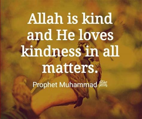 50 Best Humanity Quotes In Islam Quran Quotes On Humanity Good