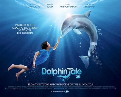 DOLPHIN TALE