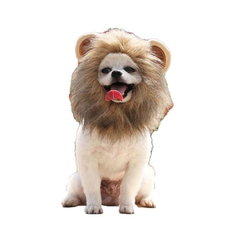 Buy Dog Lion Mane - Funny Lion Mane for Dogs - Complementary Lion Mane ...