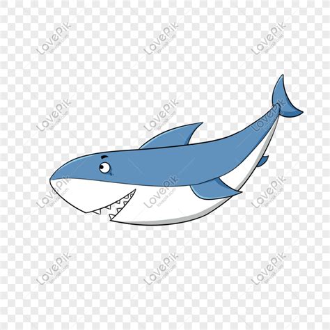 gambar hewan ikan hiu kartun