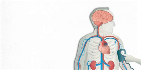 Hipertensión Qué es la Hipertensión Arterial PortalCLÍNIC