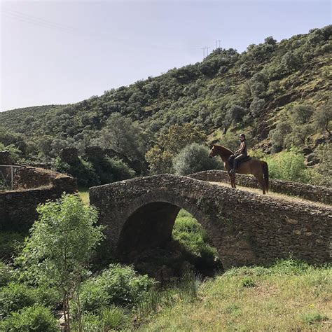 Extremadura Horse Adventure | Ibahernando