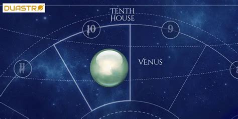 The Tenth House In Astrology Destiny And Purpose