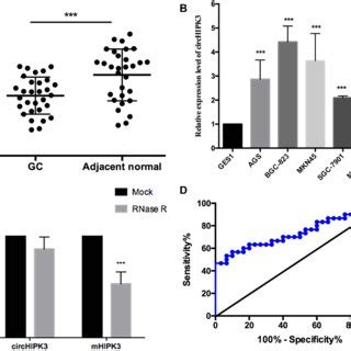 Expression Profile Of Circrnas In Gc Tissue As Determined By