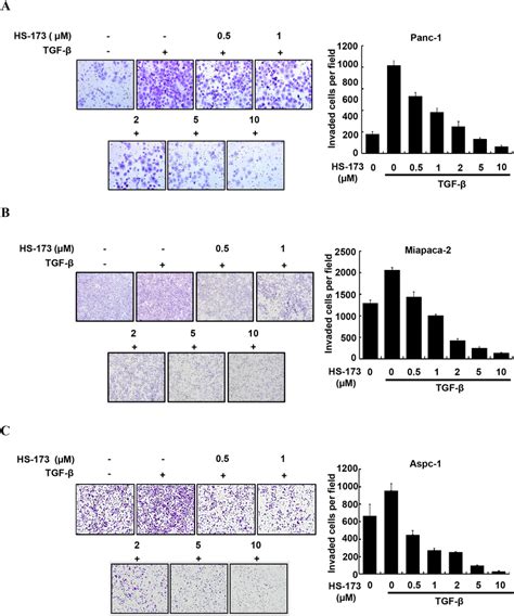 Hs Reduced Tgf Induced Invasion Of Pancreatic Cancer Cells